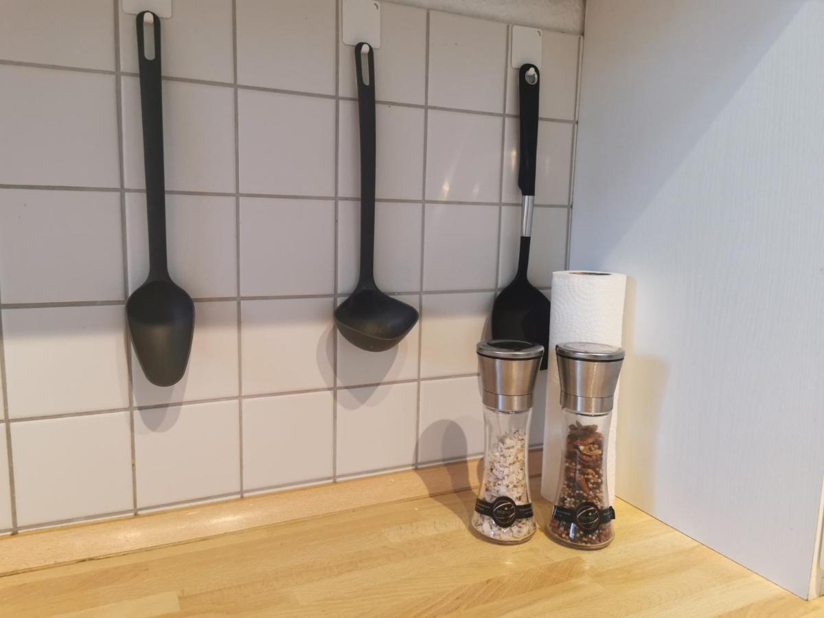 Schoene Und Ruhige Wohnung Direkt An Der Mosel Koblenz  Ngoại thất bức ảnh